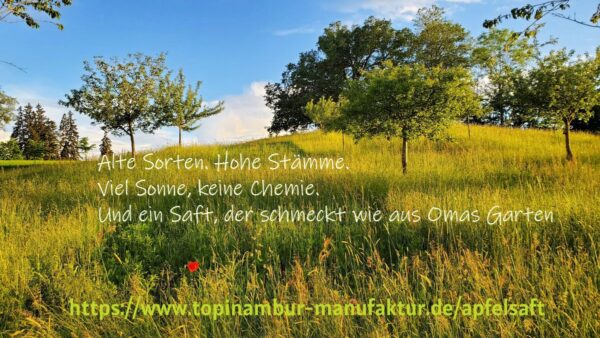 streuobstwiesen-apfelsaft-direktsaft-3l-3l-naturtrueber-apfelsaft-von-eigener-zertifizierter-streuobstwiese-mit-ca